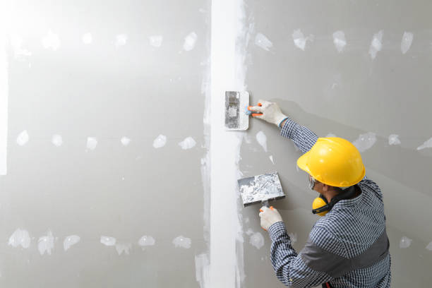 Best Drywall Patching  in USA